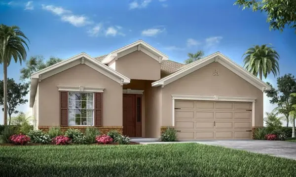 217 Dancing Dahlia Street, Ruskin, FL, 33570