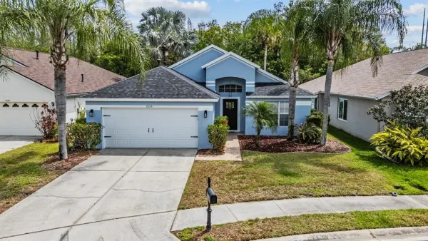 2634 Palesta Drive, Trinity, FL, 34655