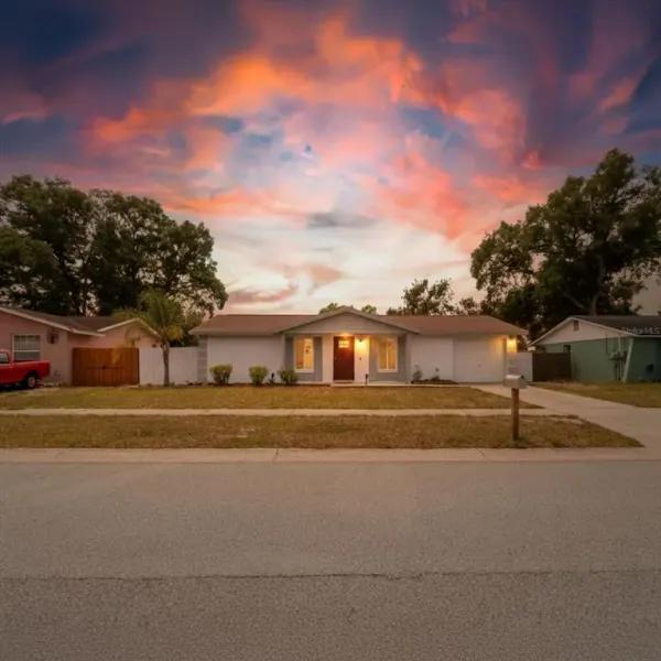 2207 Selkirk Street, Valrico, FL, 33594
