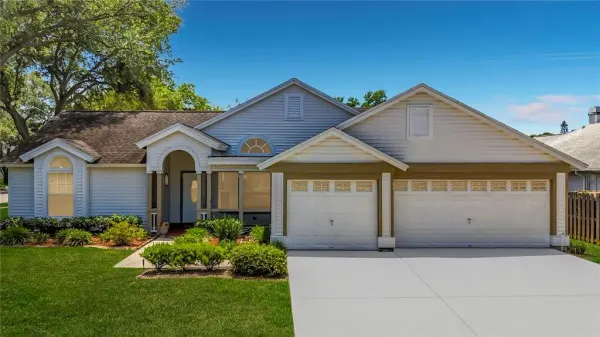 2924 Penridge Drive, Palm Harbor, FL, 34684