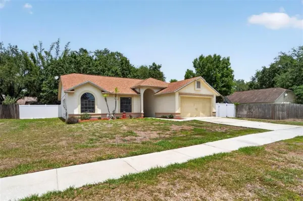 12014 Vermillion Way, Riverview, FL, 33569