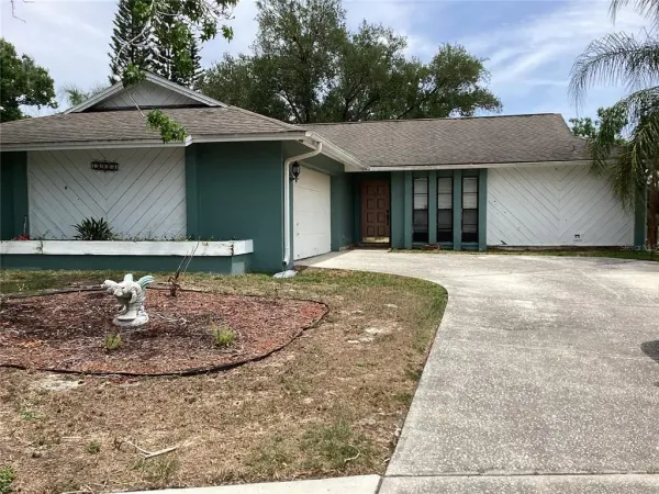 15803 Ironware Place, Tampa, FL, 33624