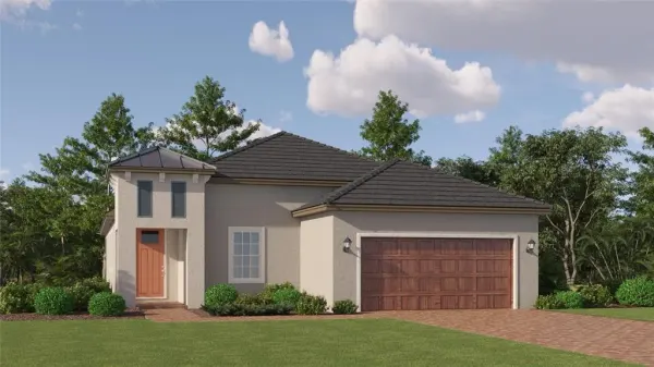 10362 Minnow Ray Drive, Land O Lakes, FL, 34638