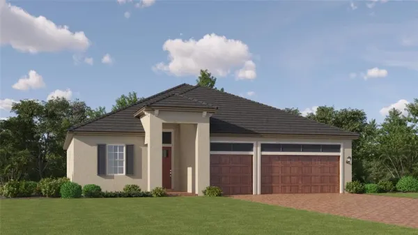 9218 Minnow Ray Drive, Land O Lakes, FL, 34638