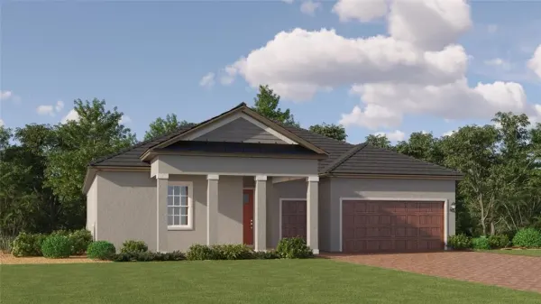 9342 Minnow Ray Drive, Land O Lakes, FL, 34638