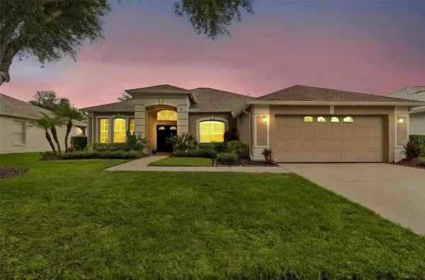 10229 Quails Landing Avenue, Tampa, FL, 33647