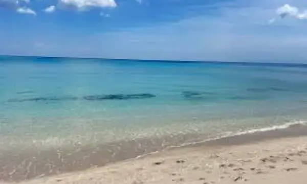 3500 S Ocean Boulevard, Unit 211, South Palm Beach, FL, 33480