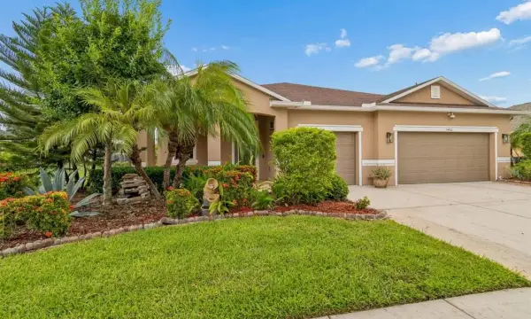 5406 Sandy Shell Drive, Apollo Beach, FL, 33572