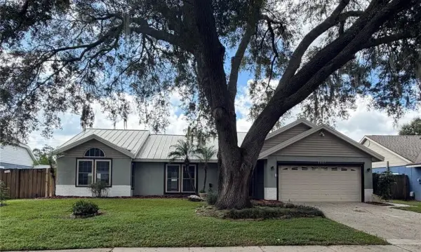 2007 Darlington Oak Drive, Seffner, FL, 33584