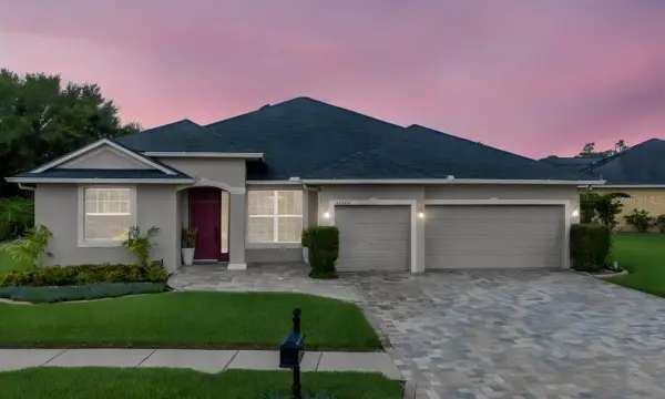 21228 Marsh Hawk Drive, Land O Lakes, FL, 34638