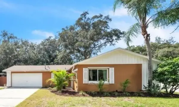 1818 Lillian Avenue, Tarpon Springs, FL, 34689