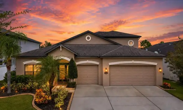 11520 Scarlet Ibis Pl, Riverview, FL, 33569
