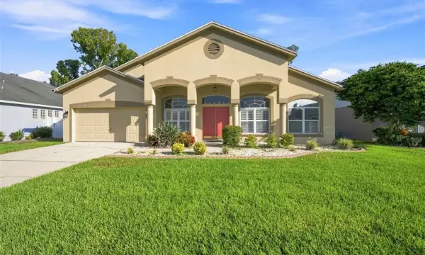 2020 Alafia Oaks Drive, Valrico, FL, 33596