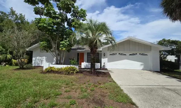 1381 Forest Lawn Court, Tarpon Springs, FL, 34689