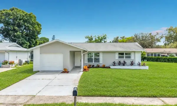 2950 Curling Court, Palm Harbor, FL, 34684
