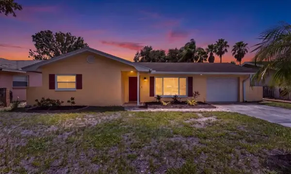 1707 Hibiscus Circle N, Oldsmar, FL, 34677