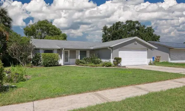 6002 Firefly Ln, Apollo Beach, FL, 33572