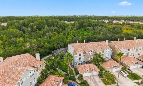 1650 Arabian Lane, Palm Harbor, FL, 34685