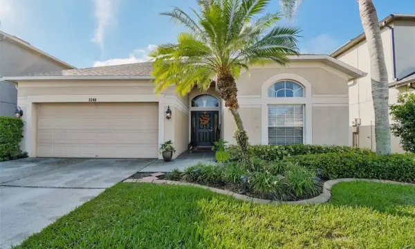 3240 Downan Point Drive, Land O Lakes, FL, 34638