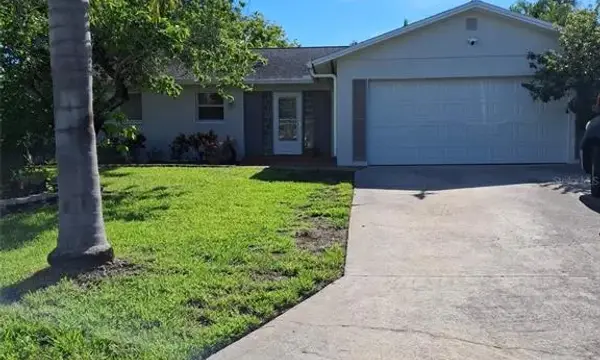 344 Crosswinds Drive, Palm Harbor, FL, 34683