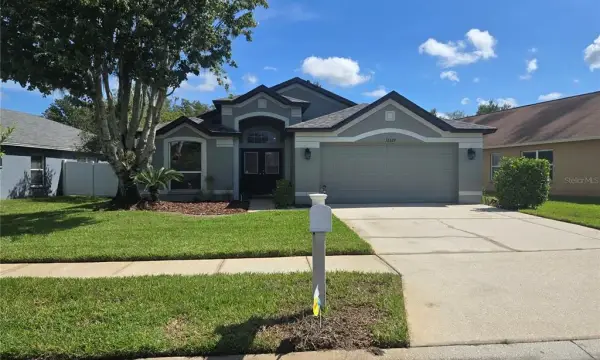 31329 Wrencrest Drive, Wesley Chapel, FL, 33543